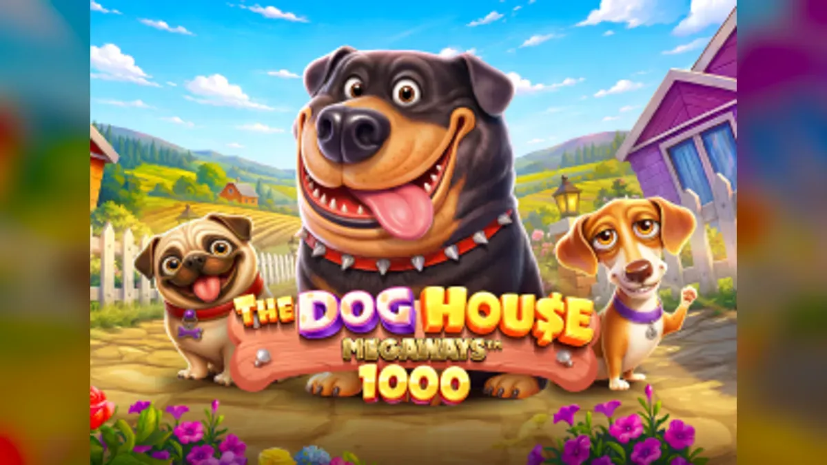 The Dog House Megaways 1000 dari Pragmatic Play
